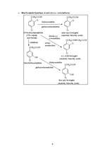 Referāts 'Hloru saturošie pesticīdi', 8.