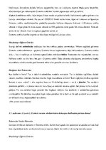 Konspekts 'Gada kontroldarbs 12.klasei', 3.