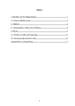 Referāts 'Grupas un to iedalījums psiholoģijā', 2.