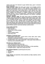 Referāts 'Grupas un to iedalījums psiholoģijā', 5.