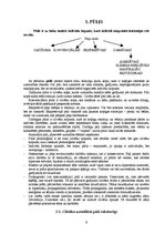Referāts 'Grupas un to iedalījums psiholoģijā', 9.