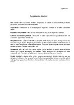 Konspekts 'Stundas konspekts dabaszinībās 2.klasei. Ieži', 7.