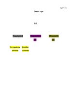 Konspekts 'Stundas konspekts dabaszinībās 2.klasei. Ieži', 8.