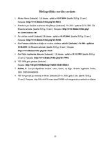 Referāts 'Valsts ieņēmumu dienesta funkcijas un loma finanšu sistēmā', 25.