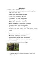 Konspekts 'Primārie tūrisma resursi Kurzemē', 2.