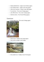 Konspekts 'Primārie tūrisma resursi Kurzemē', 3.