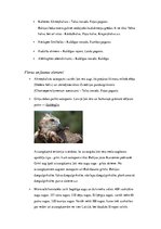 Konspekts 'Primārie tūrisma resursi Kurzemē', 4.