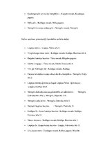 Konspekts 'Primārie tūrisma resursi Kurzemē', 11.