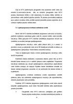 Referāts 'Mazo un vidējo uzņēmumu kreditēšana', 17.