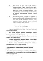 Referāts 'Mazo un vidējo uzņēmumu kreditēšana', 19.