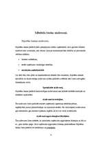 Referāts 'Mazo un vidējo uzņēmumu kreditēšana', 30.