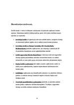 Referāts 'Mazo un vidējo uzņēmumu kreditēšana', 33.