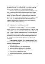 Referāts 'Uzņēmējdarbības finansēšanas avoti', 12.