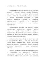 Konspekts 'Lipseta & Rokkana šķirtņu teorija', 1.