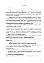 Diplomdarbs 'Interaktīvo mācību metožu izmantošana latviešu folkloras apguvē 4.klasē', 2.