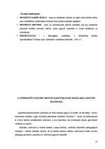 Diplomdarbs 'Interaktīvo mācību metožu izmantošana latviešu folkloras apguvē 4.klasē', 30.