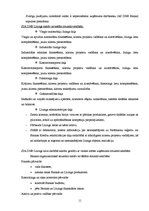 Prakses atskaite 'Prakses atskaite. SIA "DNB līzings"', 11.