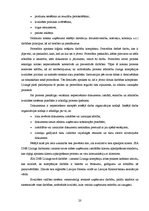 Prakses atskaite 'Prakses atskaite. SIA "DNB līzings"', 20.