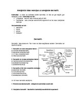 Konspekts 'Alerģiskās ādas reakcijas un alerģiskie dermatīti', 1.