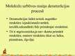 Prezentācija 'Olbaltumvielu denaturācija', 5.