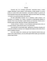 Referāts 'Grāmatvedības dokumentu veidi un klasifikācija', 3.