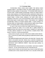 Referāts 'Grāmatvedības dokumentu veidi un klasifikācija', 6.