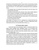 Referāts 'Grāmatvedības dokumentu veidi un klasifikācija', 8.