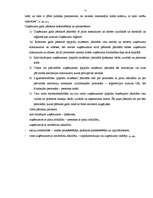 Referāts 'Grāmatvedības dokumentu veidi un klasifikācija', 11.