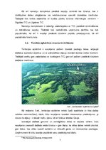 Referāts 'Lauku tūrisma uzņēmums, tā ilgtspēja', 7.