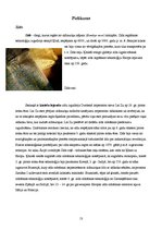 Referāts 'Cilvēkam derīgie kukaiņi', 13.