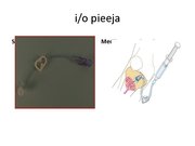 Prezentācija 'Intraosālā pieeja', 21.