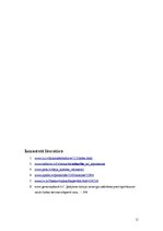 Eseja 'Atkarība no iepirkšanās', 11.