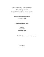 Referāts 'Individuālais komersants', 1.
