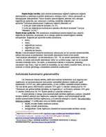 Referāts 'Individuālais komersants', 4.