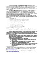 Referāts 'Individuālais komersants', 5.