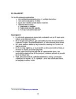 Referāts 'Individuālais komersants', 11.