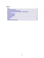 Referāts 'Individuālais komersants', 12.