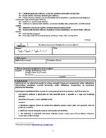 Referāts 'Individuālais komersants', 21.