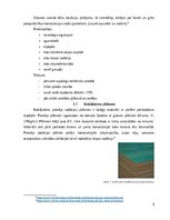 Referāts '“Būvju remonta darbu tehnoloģija” Siltumizolācijas uzlabošana ārsienu konstrukci', 9.