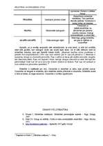 Eseja 'Mīlestības un draudzības jūtas', 2.