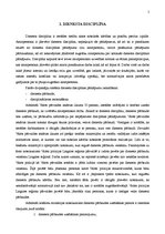 Referāts 'Valsts policijas dienesta disciplīna', 4.