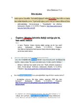 Paraugs 'Stila kļūdas', 1.