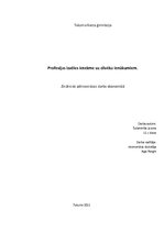 Referāts 'Profesijas izvēles ietekme uz cilvēka ienākumiem', 1.