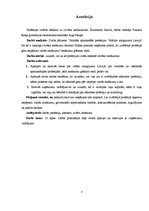 Referāts 'Profesijas izvēles ietekme uz cilvēka ienākumiem', 3.