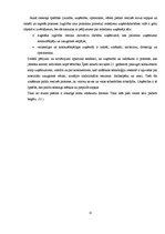 Referāts 'Profesijas izvēles ietekme uz cilvēka ienākumiem', 11.