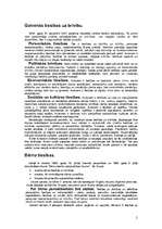 Referāts 'Cilvēka un bērna pamattiesības', 2.