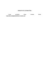 Eseja 'Latvijas ieguvumi no prezidentūras Eiropas Savienības padomē', 3.