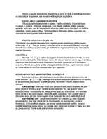 Konspekts 'Par viduslaikiem Eiropā un Latvijā', 2.