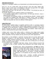 Konspekts 'Par mormonismu jeb Pēdējo dienu svētajiem', 3.