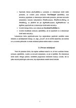 Referāts 'Vizuālās programmēšanas pamati', 7.